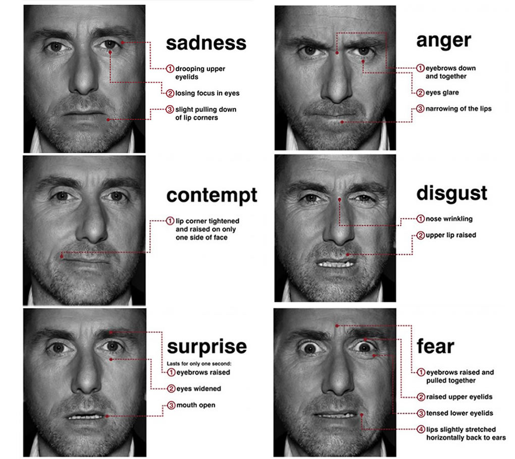 Facial Expressions Ekman 112