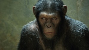 Weta-FX_Rise-of-the-apes-movie-image